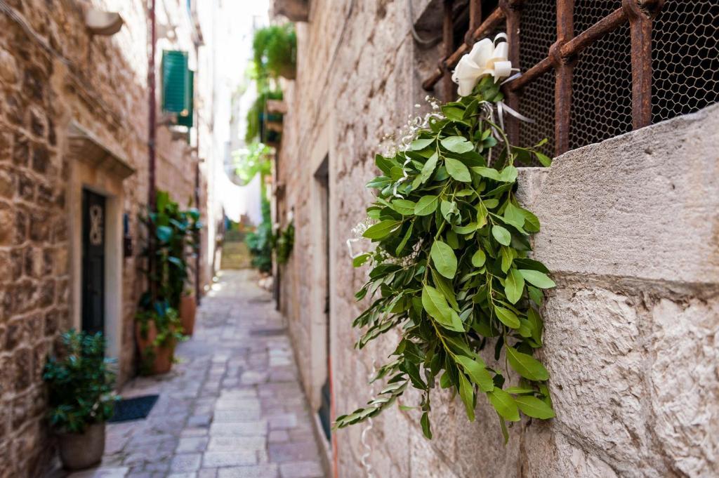 Angelus Apartments دوبروفينك المظهر الخارجي الصورة